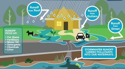 DIY Project: Take a stormwater walk! - RE Sources