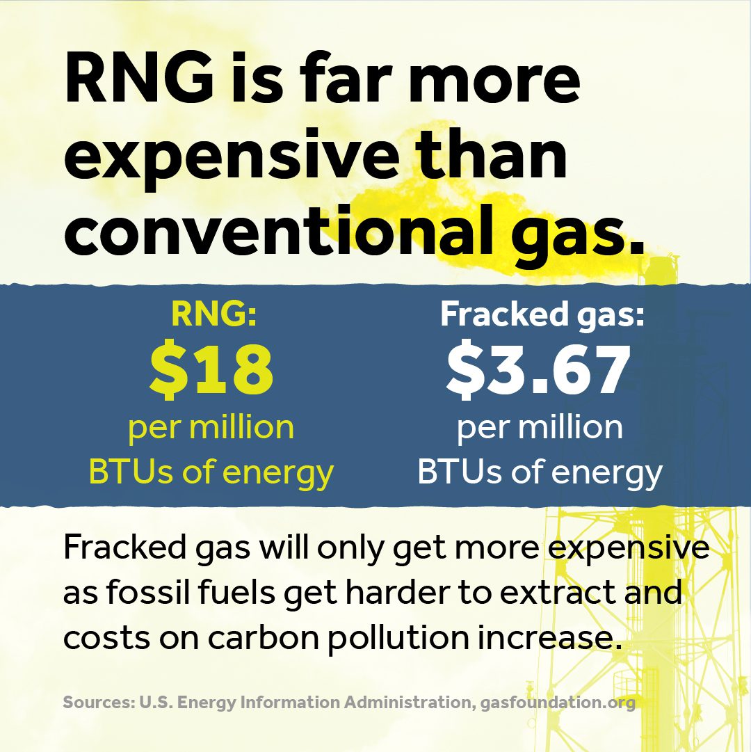 5-reasons-why-renewable-natural-gas-is-not-the-future-re-sources