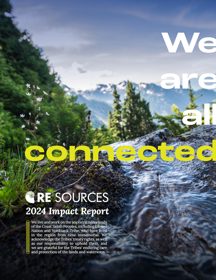 report cover photo of a mountain stream with the words we are all connected overlayed